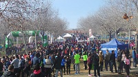 Titulo