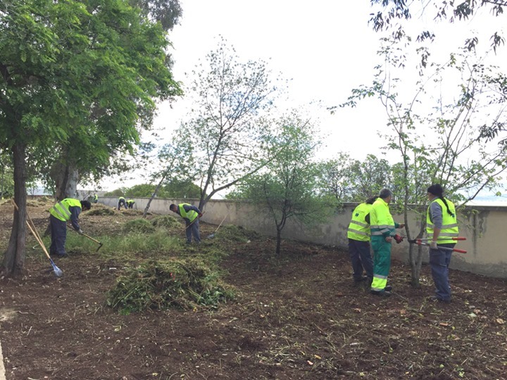 Puertollano mejora sus zonas verdes del Pozo Norte, El Poblado y alcorques de diversos viales