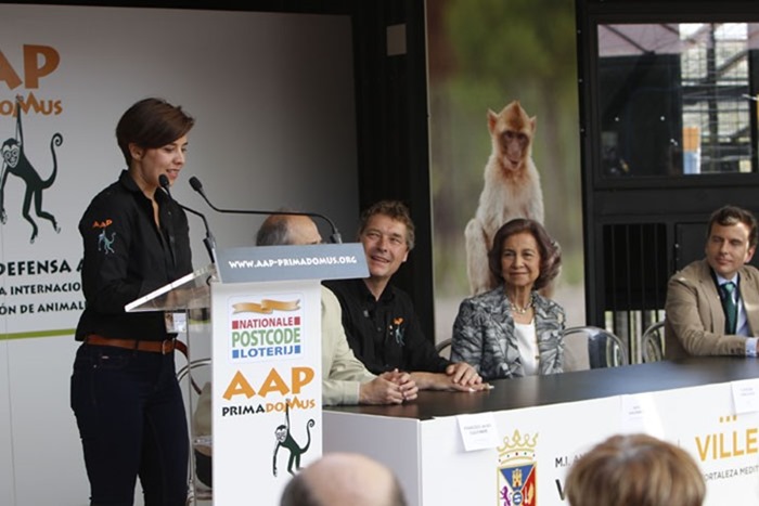 Presentación AAP Primadomus 2