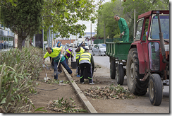 Trabajos de jardinería en la avenida Príncipe Alfonso